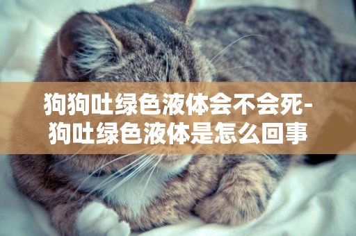 狗狗吐綠色液體會不會死-狗吐綠色液體是怎么回事