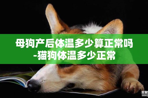 母狗產后體溫多少算正常嗎-貓狗體溫多少正常