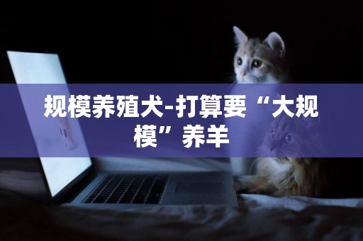 規模養殖犬-打算要“大規模”養羊