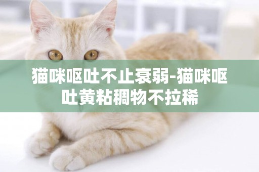 貓咪嘔吐不止衰弱-貓咪嘔吐黃粘稠物不拉稀