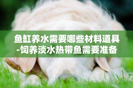 魚缸養水需要哪些材料道具-飼養淡水熱帶魚需要準備哪些用具