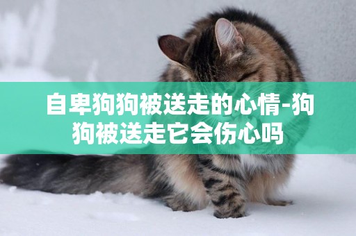 自卑狗狗被送走的心情-狗狗被送走它會傷心嗎