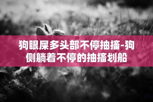 狗眼屎多頭部不停抽搐-狗側躺著不停的抽搐劃船