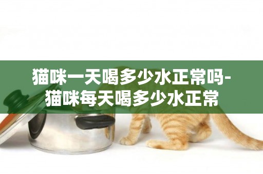 貓咪一天喝多少水正常嗎-貓咪每天喝多少水正常