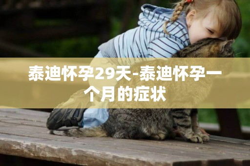 泰迪懷孕29天-泰迪懷孕一個月的癥狀