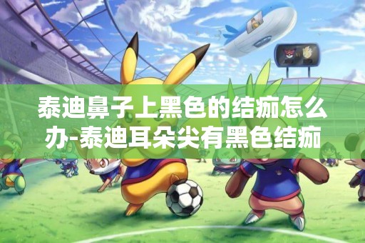 泰迪鼻子上黑色的結痂怎么辦-泰迪耳朵尖有黑色結痂