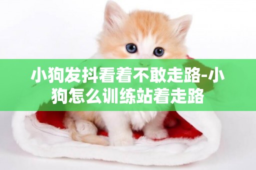 小狗發抖看著不敢走路-小狗怎么訓練站著走路