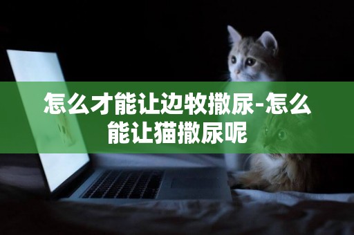 怎么才能讓邊牧撒尿-怎么能讓貓撒尿呢