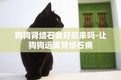狗狗腎結石會好起來嗎-讓狗狗遠離腎結石病