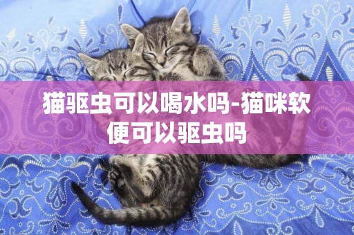 貓驅蟲可以喝水嗎-貓咪軟便可以驅蟲嗎