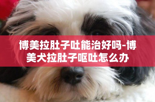 博美拉肚子吐能治好嗎-博美犬拉肚子嘔吐怎么辦
