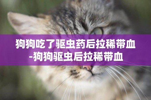 狗狗吃了驅蟲藥后拉稀帶血-狗狗驅蟲后拉稀帶血