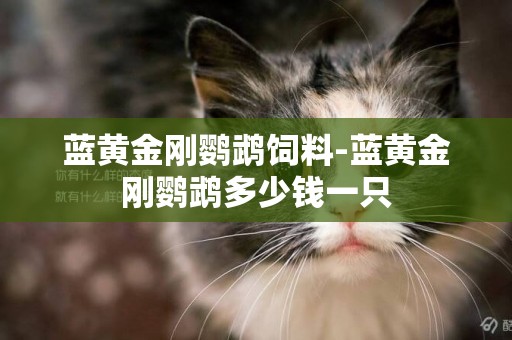 藍黃金剛鸚鵡飼料-藍黃金剛鸚鵡多少錢一只