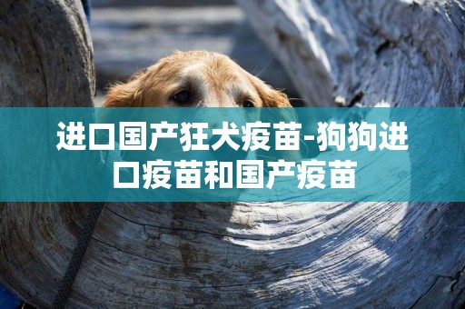 進口國產狂犬疫苗-狗狗進口疫苗和國產疫苗