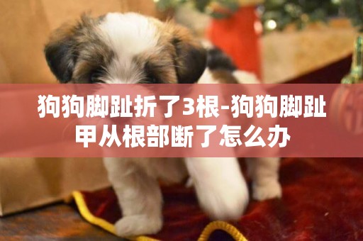 狗狗腳趾折了3根-狗狗腳趾甲從根部斷了怎么辦