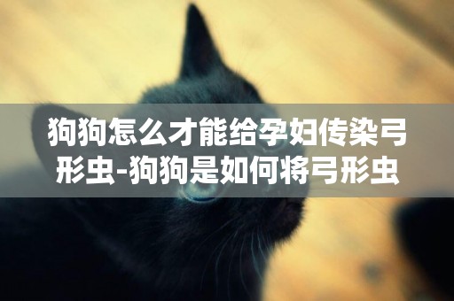 狗狗怎么才能給孕婦傳染弓形蟲-狗狗是如何將弓形蟲傳染給人的