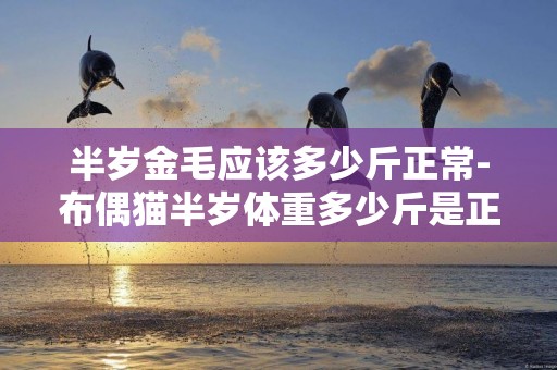 半歲金毛應該多少斤正常-布偶貓半歲體重多少斤是正常的