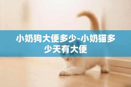 小奶狗大便多少-小奶貓多少天有大便