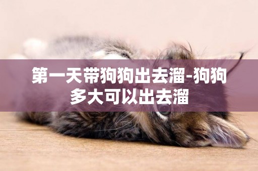 第一天帶狗狗出去溜-狗狗多大可以出去溜