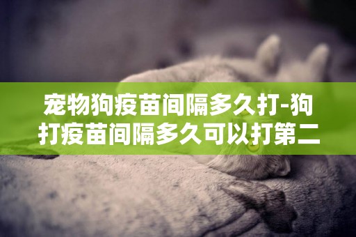 寵物狗疫苗間隔多久打-狗打疫苗間隔多久可以打第二次