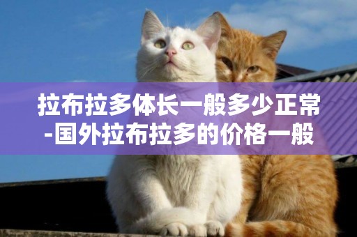 拉布拉多體長一般多少正常-國外拉布拉多的價格一般是多少
