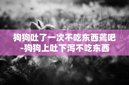 狗狗吐了一次不吃東西蔫吧-狗狗上吐下瀉不吃東西