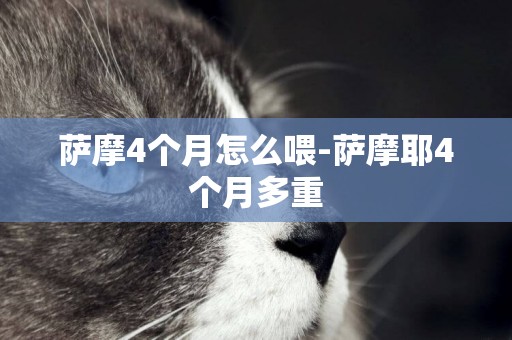 薩摩4個月怎么喂-薩摩耶4個月多重