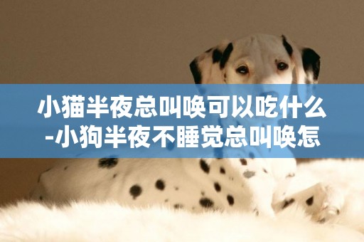 小貓半夜總叫喚可以吃什么-小狗半夜不睡覺總叫喚怎么辦