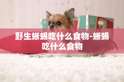 野生蜥蜴吃什么食物-蜥蜴吃什么食物