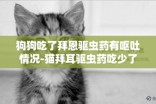 狗狗吃了拜恩驅蟲藥有嘔吐情況-貓拜耳驅蟲藥吃少了怎么辦