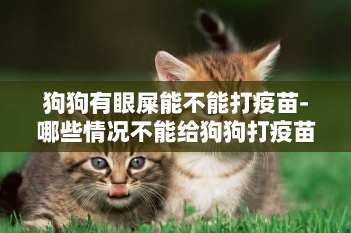 狗狗有眼屎能不能打疫苗-哪些情況不能給狗狗打疫苗