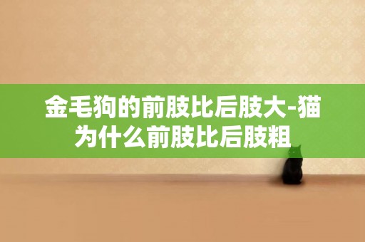金毛狗的前肢比后肢大-貓為什么前肢比后肢粗