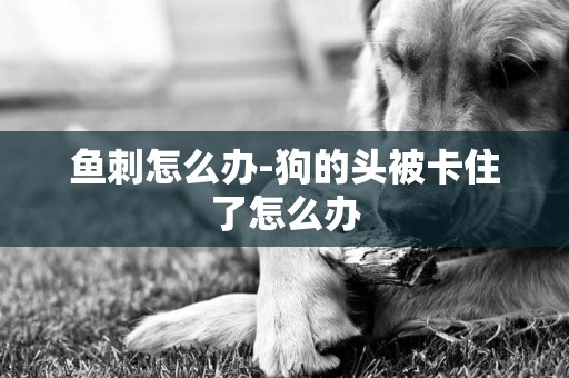 魚刺怎么辦-狗的頭被卡住了怎么辦