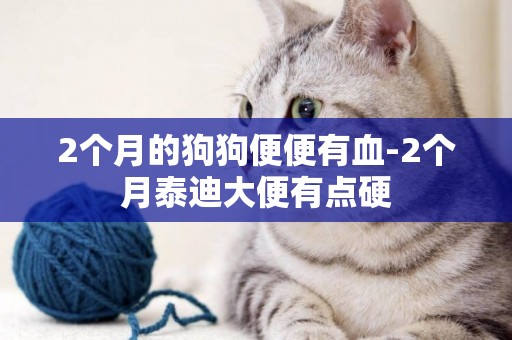 2個月的狗狗便便有血-2個月泰迪大便有點硬