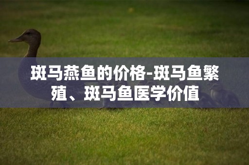 斑馬燕魚的價格-斑馬魚繁殖、斑馬魚醫學價值