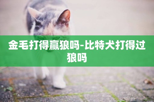 金毛打得贏狼嗎-比特犬打得過狼嗎