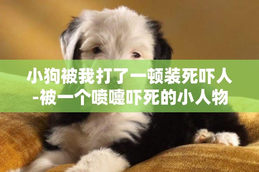 小狗被我打了一頓裝死嚇人-被一個噴嚏嚇死的小人物