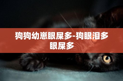狗狗幼崽眼屎多-狗眼淚多眼屎多