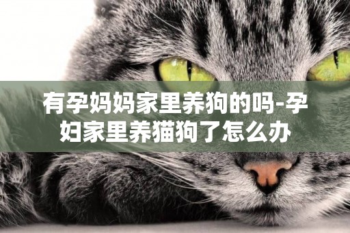 有孕媽媽家里養狗的嗎-孕婦家里養貓狗了怎么辦