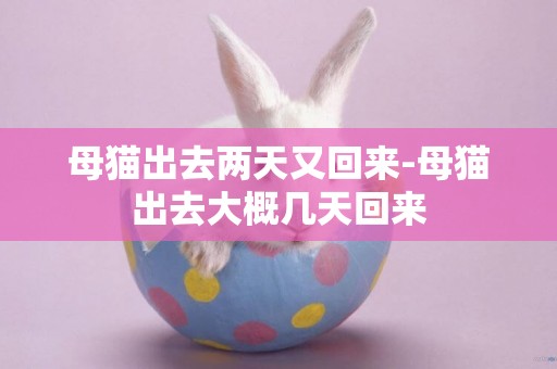 母貓出去兩天又回來-母貓出去大概幾天回來