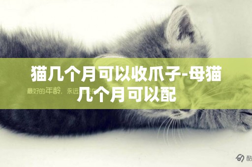 貓幾個月可以收爪子-母貓幾個月可以配