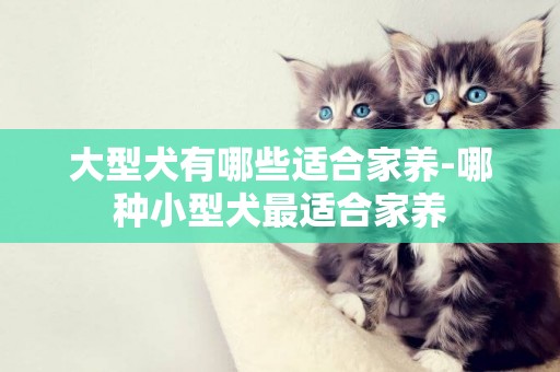 大型犬有哪些適合家養-哪種小型犬最適合家養
