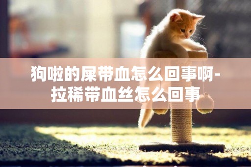 狗啦的屎帶血怎么回事啊-拉稀帶血絲怎么回事