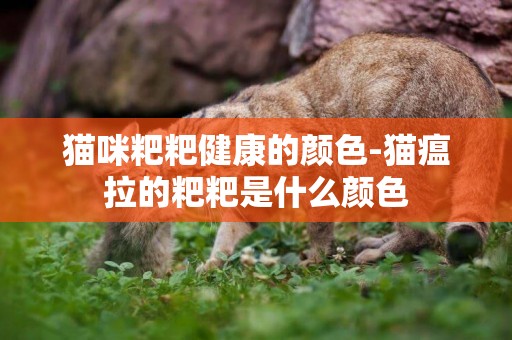 貓咪粑粑健康的顏色-貓瘟拉的粑粑是什么顏色