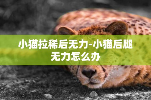 小貓拉稀后無力-小貓后腿無力怎么辦
