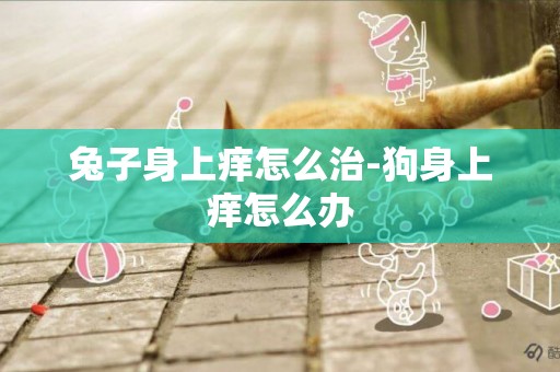 兔子身上癢怎么治-狗身上癢怎么辦