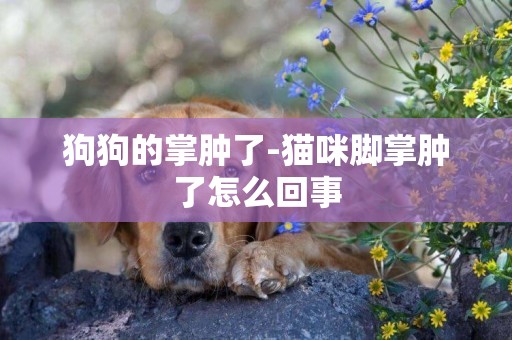 狗狗的掌腫了-貓咪腳掌腫了怎么回事