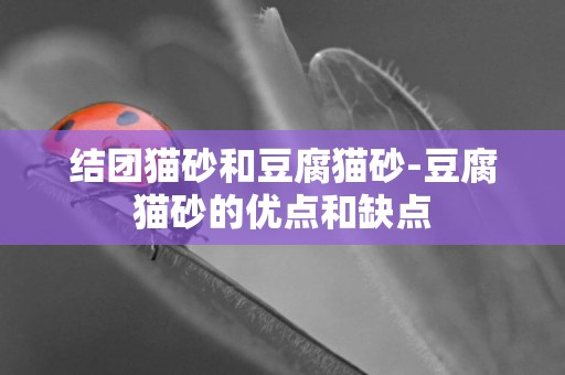 結團貓砂和豆腐貓砂-豆腐貓砂的優點和缺點