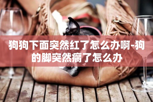 狗狗下面突然紅了怎么辦啊-狗的腳突然瘸了怎么辦