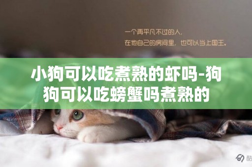 小狗可以吃煮熟的蝦嗎-狗狗可以吃螃蟹嗎煮熟的